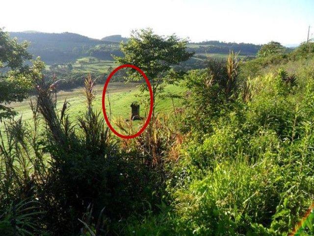 兄弟的判决 视频海报