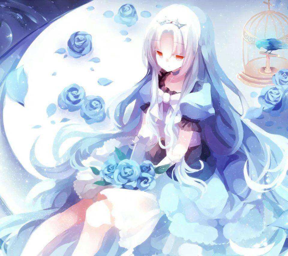 停止 视频缩略图