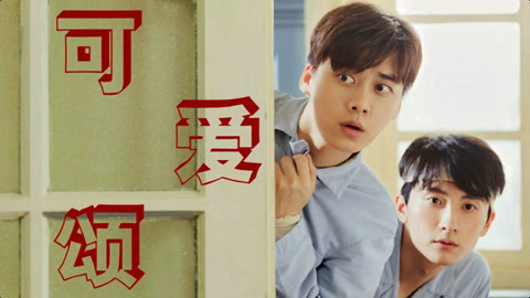 向日葵与幼犬的7天 视频缩略图