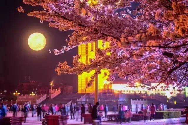 传奇 视频缩略图