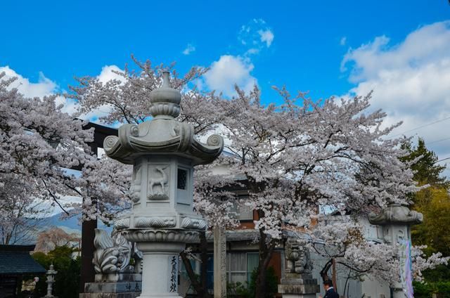 低城 视频缩略图