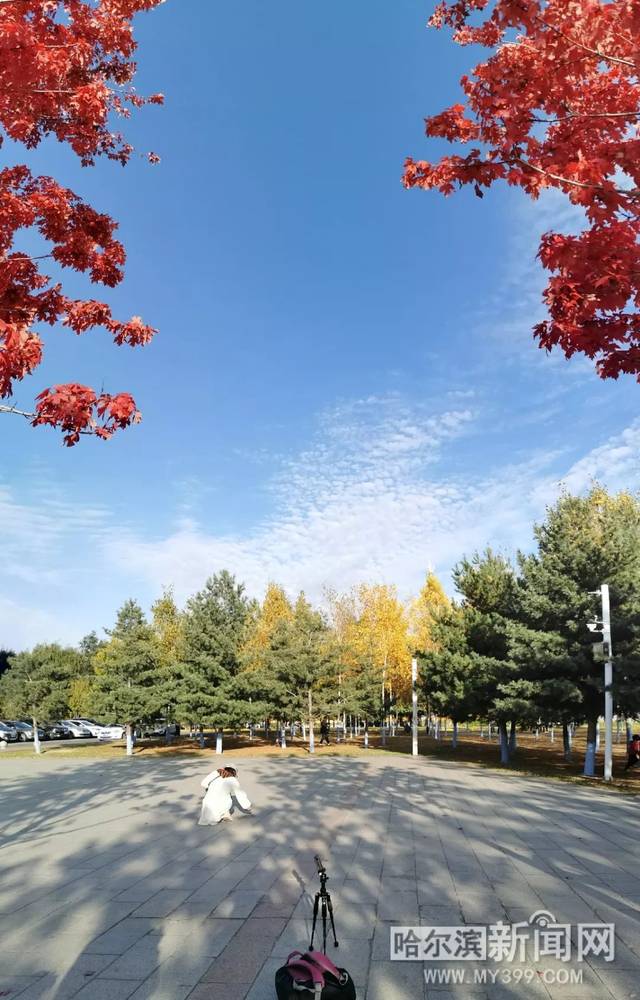 修补生活 视频缩略图