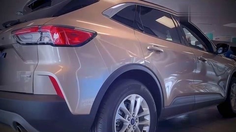 伴我同行 视频海报