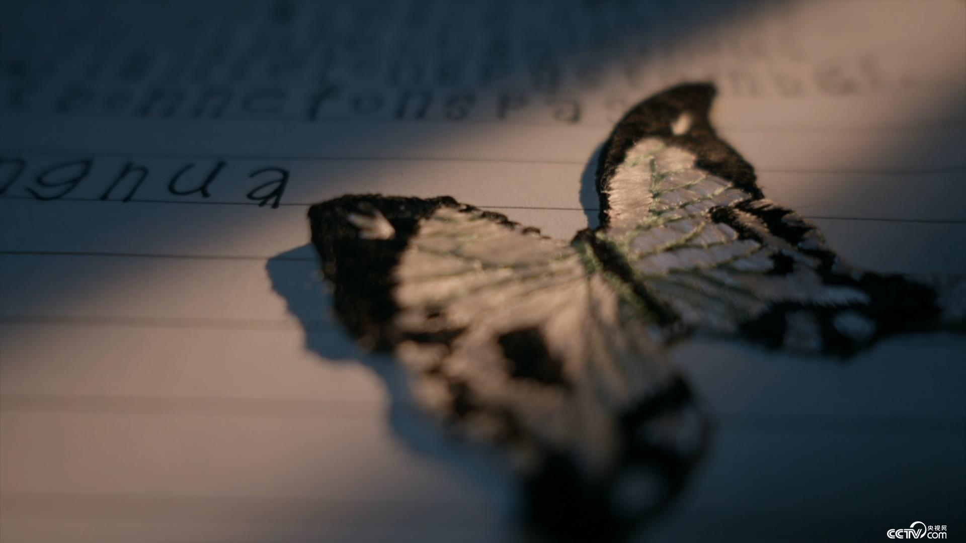 传奇的诞生（原声版） 视频缩略图