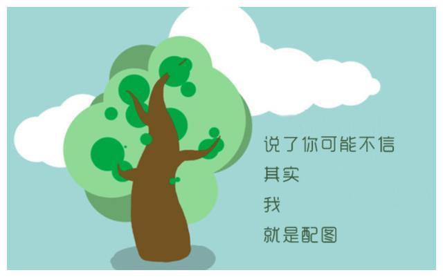 他马克老板 视频缩略图