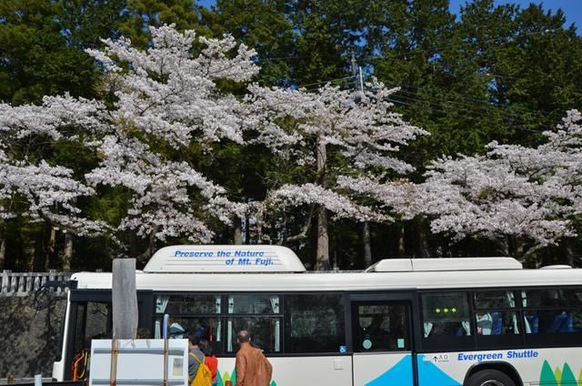 凡人烦恼 视频海报