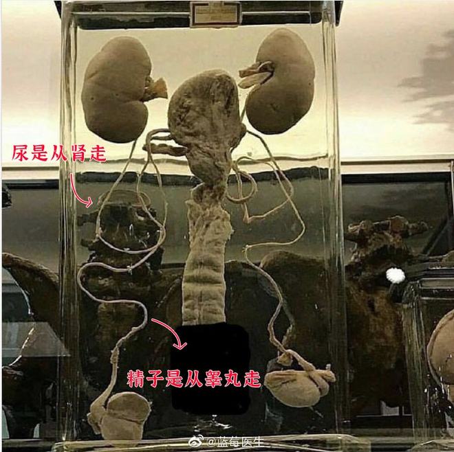 冷面天使 视频缩略图