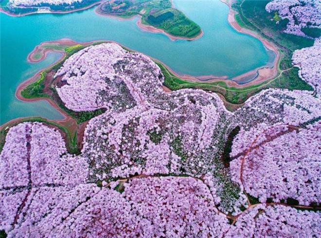 伸冤人2 视频海报