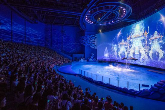 冬日暖阳 视频缩略图