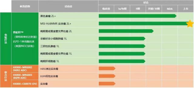 保镖2024 视频缩略图