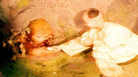 卡布里尼 视频海报