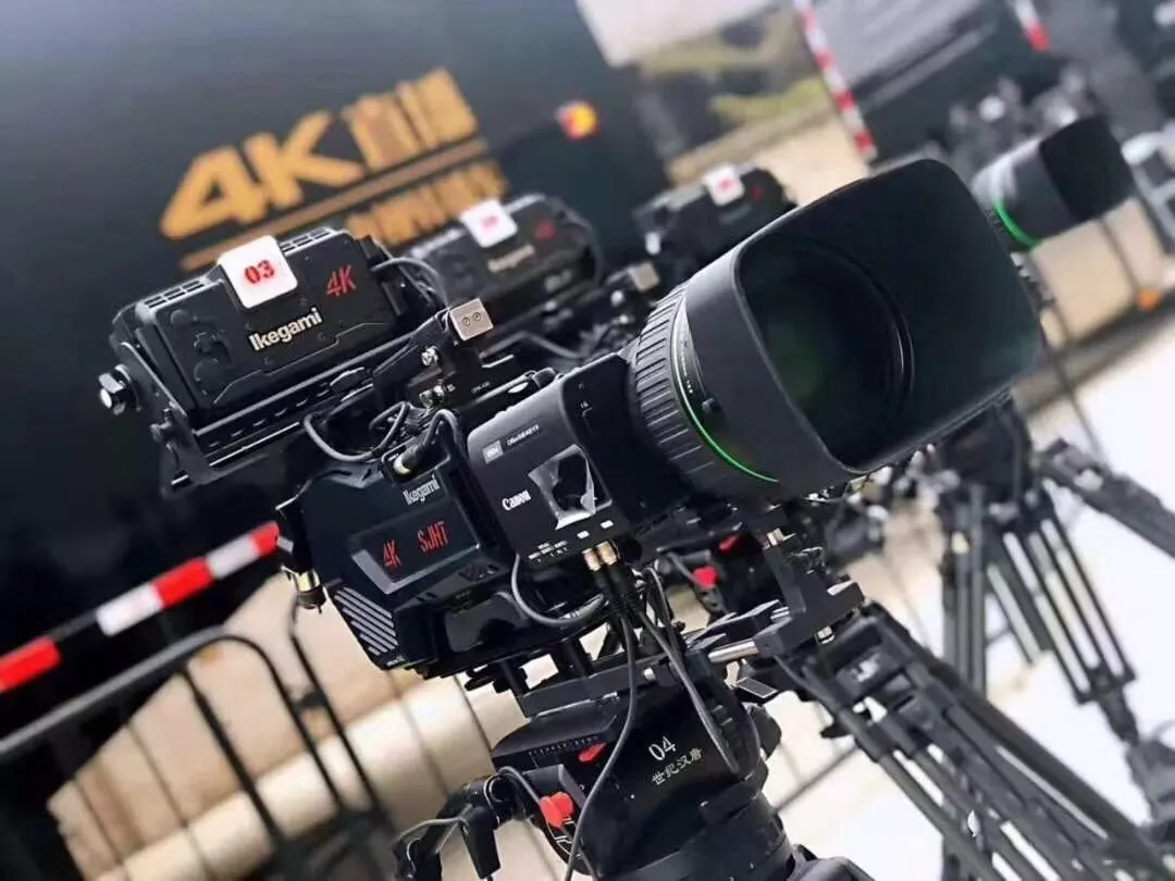 冽之花 视频海报