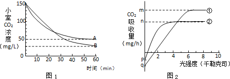 余生那些年 日语版 视频缩略图