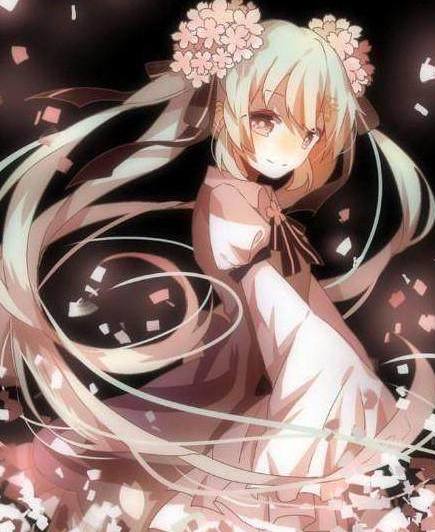 兄弟的判决 视频缩略图