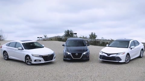 军犬麦克斯 视频海报