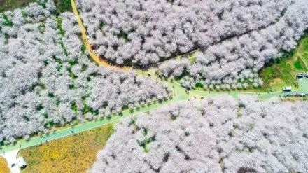 侏罗纪世界3 视频海报