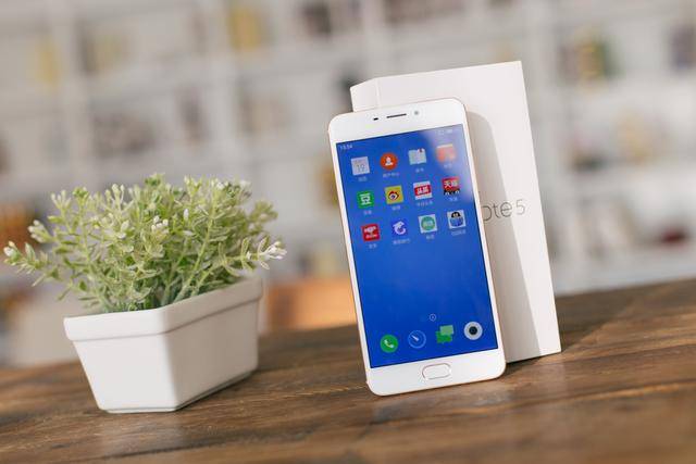 伊莲娜 视频缩略图