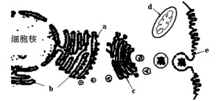 哪吒之魔童闹海 视频缩略图