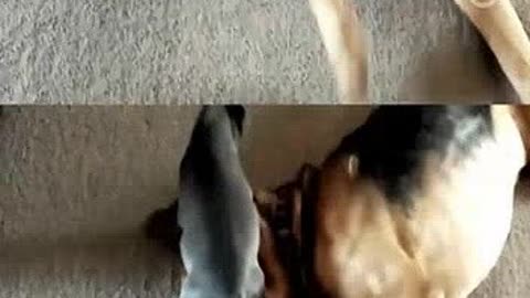 僵尸来袭2：末日 视频缩略图