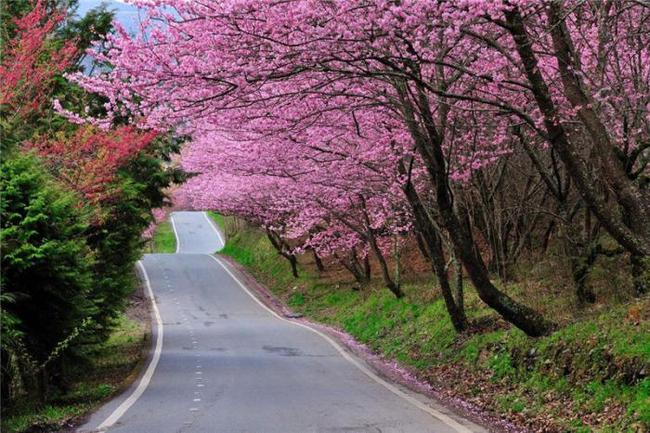仿佛你消失了 视频缩略图