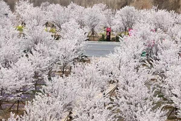 冒牌搭档 视频缩略图