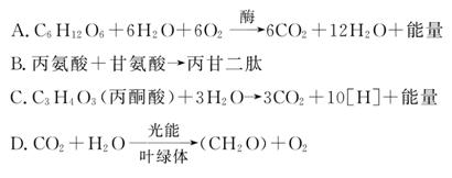 夜班惊魂 视频缩略图