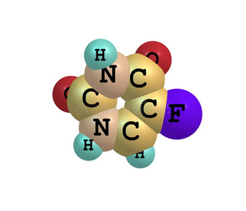 喷火龙 视频缩略图
