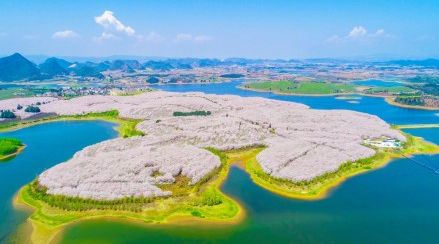 四平青年之喋血曼谷 视频缩略图