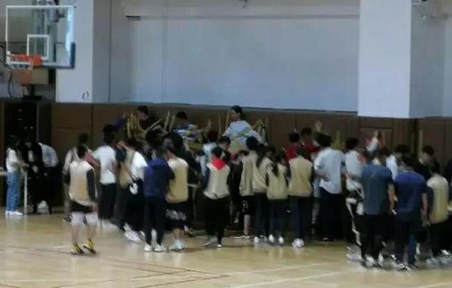 你好，树公主 视频缩略图