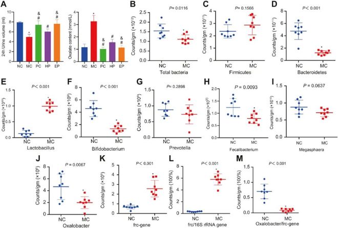 何以为家（国语版） 视频缩略图
