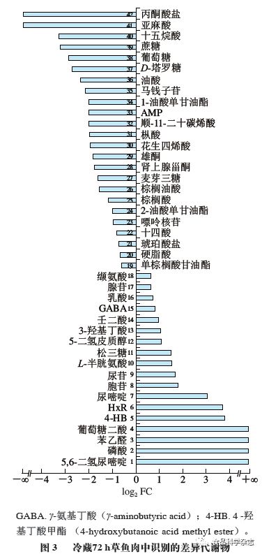 假装热情 视频缩略图