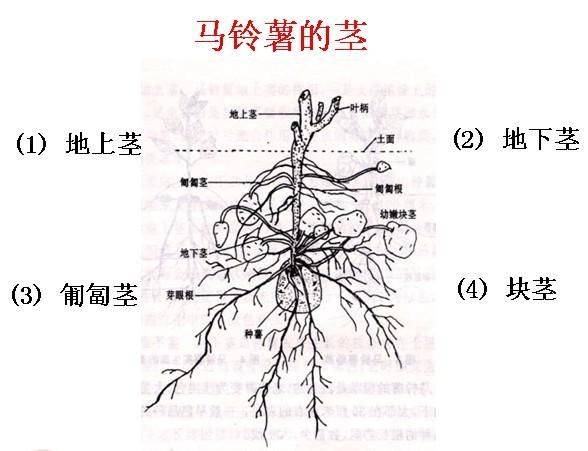 四月一日灵异事件簿：春梦记 后篇 视频缩略图
