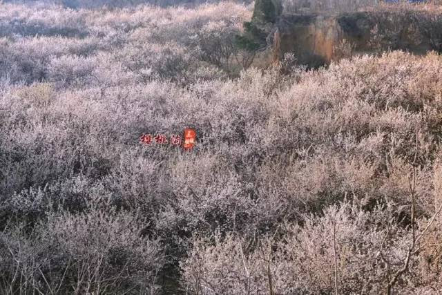 伸冤人2 视频缩略图