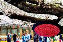 候爱·青春 视频缩略图