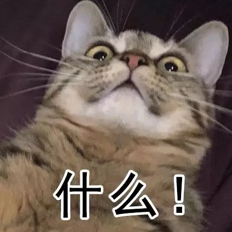 可靠港湾 视频海报