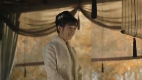 圣诞家族 视频海报