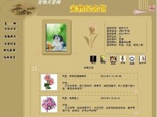 信不信由你 视频缩略图