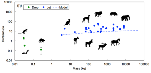 军犬麦克斯 视频缩略图