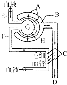 余笙是你 视频缩略图