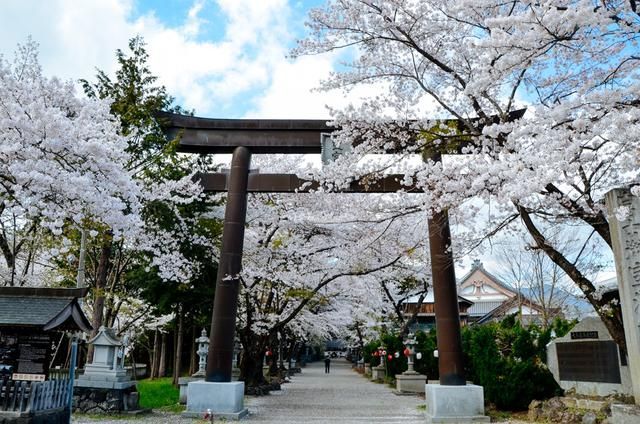 你遗落的蓝天 视频缩略图