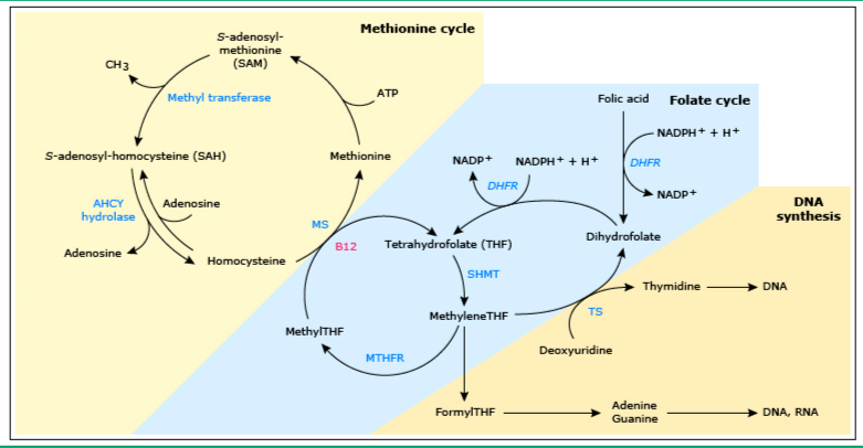 倩女仙缘2 视频缩略图