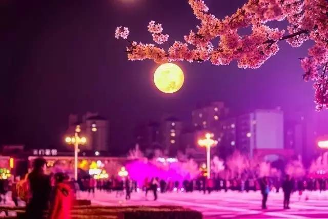 例外 视频缩略图