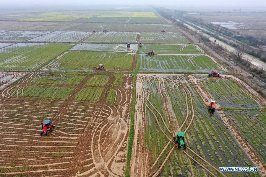 凯萨里 视频缩略图