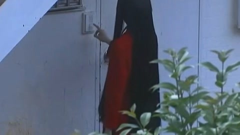 印度暴徒（国语版） 视频海报