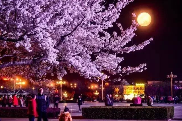 体验 视频缩略图