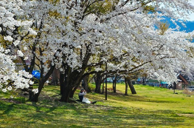 你是夜晚 视频主图