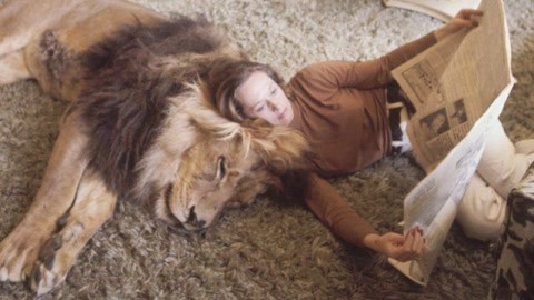 借来的100天 视频缩略图