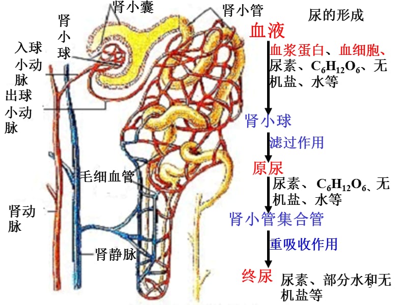 圣诞前夕的骑士 视频主图
