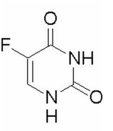 东京食尸鬼 真人版 视频主图