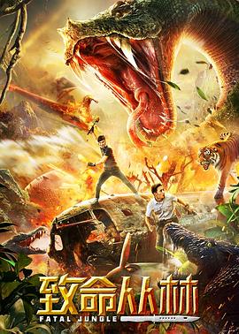 另一个故乡 视频海报